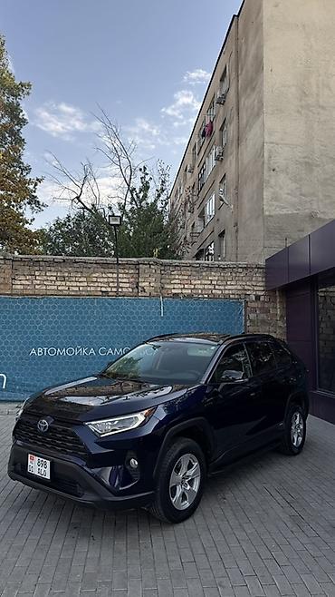rav4 se: Toyota RAV4: 2019 г., 2.5 л, Автомат, Гибрид, Кроссовер — 2
