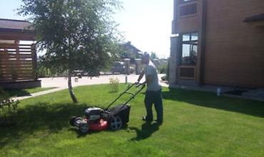 Другие товары для дома и сада: Услуги Садовника Стрижка живой изгороди Уборка дикой травы Покос at lalafo.kg — 23 Другие товары для дома и сада: Услуги Садовника Стрижка живой изгороди Уборка дикой травы Покос — 23