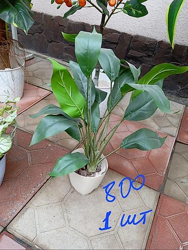 Декоративные цветы: Декоративные искусственные растения в кашпо 
горшки в комплекте — 4