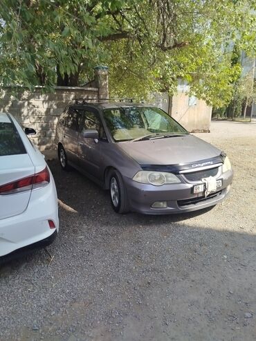 климат одиссей: Honda Odyssey: 2001 г., Автомат, Минивэн
