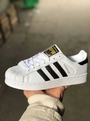 tn patike zenske bele: Adidas