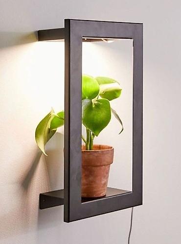 Полки для вещей и одежды: Полка для вещей и одежды, Новый, Дерево, Самовывоз, Платная доставка — 6