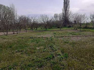 Həyət evləri və villaların satışı: 4 otaqlı, 126 kv. m, Orta təmir — 14