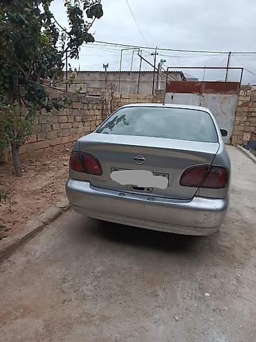 afdamabiler: Nissan Primera: 1.6 l | 1999 il Sedan — 2