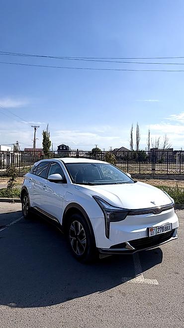 JMEV: JMEV : 2024 г., Автомат, Электромобиль, Кроссовер — 1