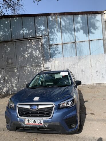 Subaru: Subaru Forester: 2019 г., 2.5 л, Вариатор, Бензин, Кроссовер — 10
