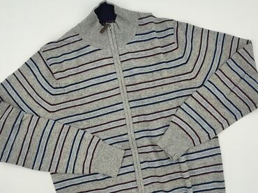 ubrania lidl: Sweter for men, size M