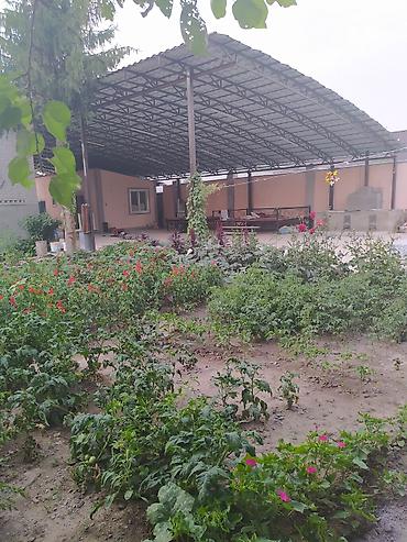 Продажа коттеджей и домов: Дом с большим двором и крытым дворовым навесом - Кирпичный жилой дом — 2