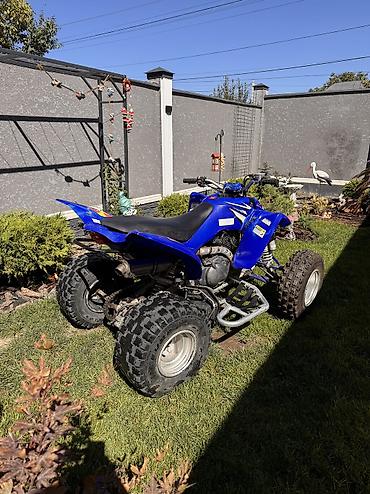 t max: Квадроцикл Yamaha, Бензин, 350 куб. см, Взрослый — 6