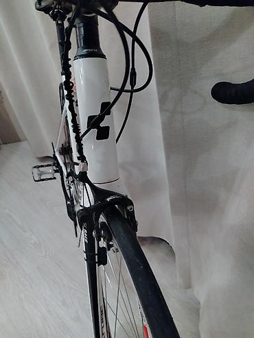 Şosse velosipedləri: Cube Attain Pro modeli yüngül Fulcrum disklərə malikdir. Alüminium — 5