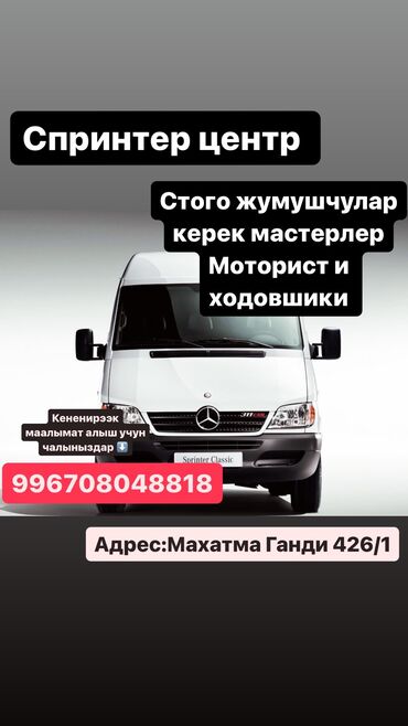 Другие автоспециальности: Другие автоспециальности