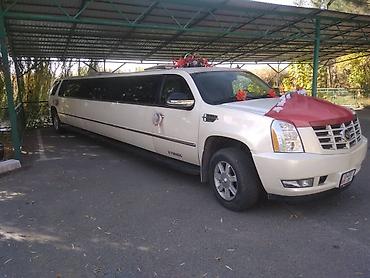 124 e500: Аренда автомобилей на любые мероприятия! Свадьба,той,встреча в — 8