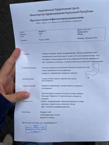 трубогиб бишкек услуги: Медицинская справка/протокол видеозофагогастродуоденоскопии (ВЭГДС)