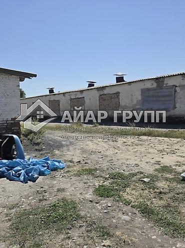 Продажа сельхоз предприятий: Кошара, 60 соток, Действующий, С оборудованием — 1