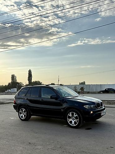 BMW X5: 2002 г., Автомат, Дизель, Жол тандабас — 2