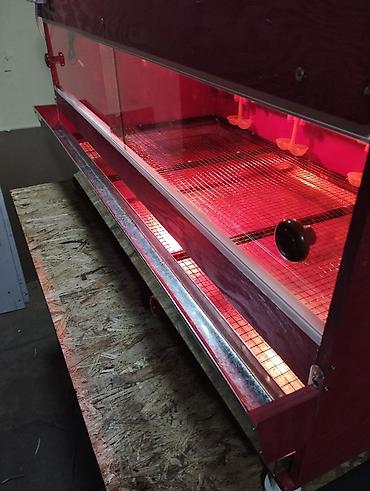 Товары и оборудование для с/х животных: Продаю брудер для выращивания цыплят полный комплект сделан из фанеры — 4