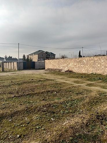 torpaq satisi elanlar: 3 sot, Kənd təsərrüfatı, Makler, Kupça (Çıxarış) — 2