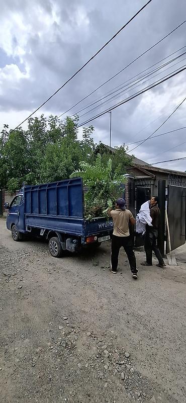 авто падбор: Заказать Хендай портер, Вывоз бытового мусора, C грузчиком — 1