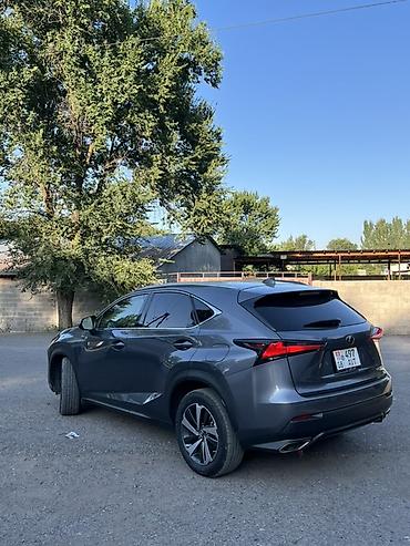 мотор нексия 1: Lexus NX: 2019 г., 2 л, Автомат, Бензин, Кроссовер — 5