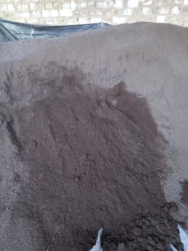 семена хлопка: Биогумс беловодский 3 тонна 18 сомдон