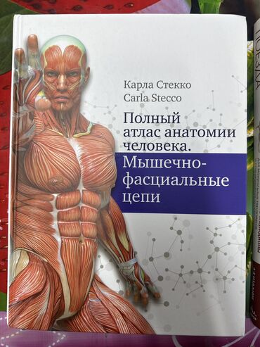 Медицина: Продаю книги новые для массажистов, кинезиологов, остеопатов и всех