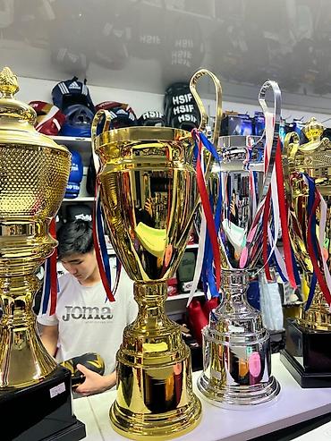 Статуэтки: #Кубки и фигурки-статуэтки для награждения - Материал: золотистый — 14