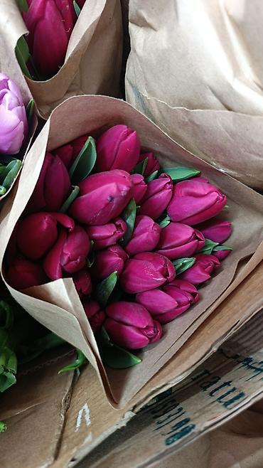 Букеты из живых цветов: Тюльпаны с тепличной выгонки — оптом и для флористов. - Ассортимент — 20