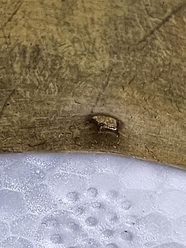 Браслеты: Браслет, Женские, Новый — 7