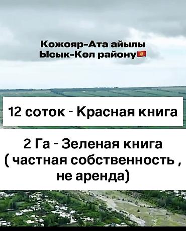 алтын казык ж м: 212 соток, Для бизнеса, Красная книга, Договор купли-продажи — 7