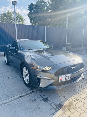 купить мотоблок мтз бу в москве: Ford Mustang: 2020 г., 2.3 л, Автомат, Бензин, Купе