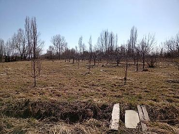 Продажа коттеджей и домов: ПРОДАЁТСЯ ДОМ С УЧАСТКОМ 1 ГЕКТАР В СЕЛЕ Григорьевка (район пристани) — 15