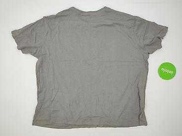 trouser: Sinsay, Koszulka dla mężczyzn, rozmiar 2XL — 3