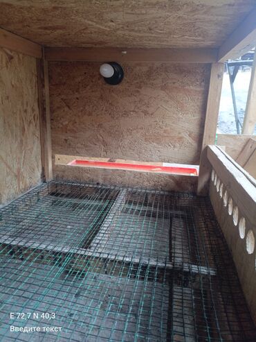 Товары и оборудование для с/х животных: Брудер/клетка для молодняка птицы - Материал: каркас и стены из OSB — 6