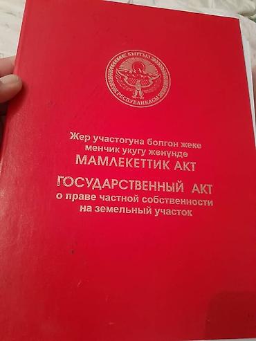 ош ишкаван: 4 соток, Бизнес үчүн, Кызыл китеп — 1