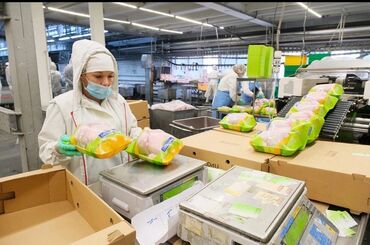 требуется парень продавец: Талап кылынат Таңгактоочу, Төлөм Бир айда эки жолу, Тажрыйбасыз