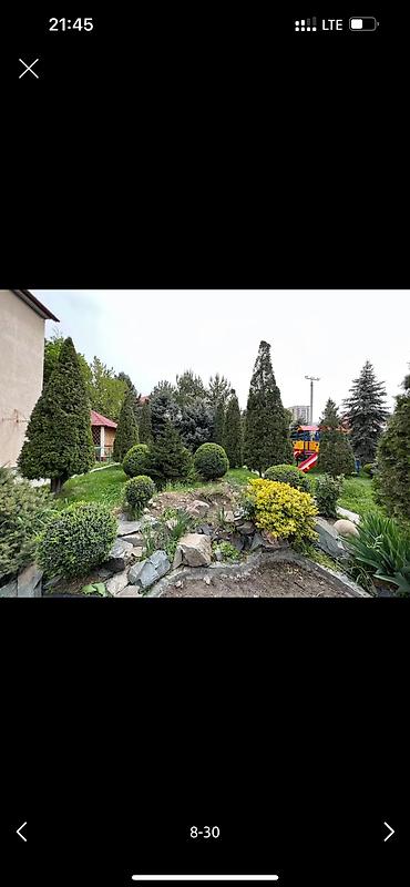 Дворники, садовники: 🌱Я Садовник Стрижка Живой изгородь,самшит,Туи,хвойные растения, Я — 8