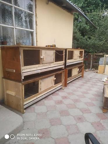 Товары и оборудование для с/х животных: Клетка для животных с деревянным каркасом и металлической сеткой — 9