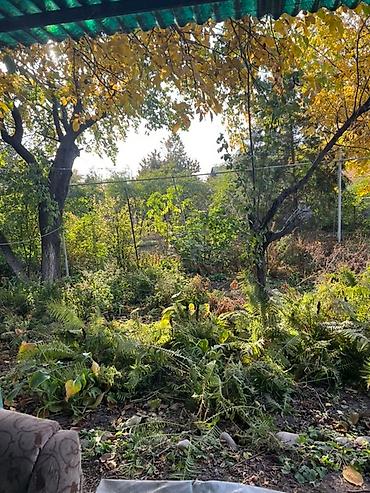 Продажа домов: Дом, 55 м², 2 комнаты, Собственник, Старый ремонт — 11