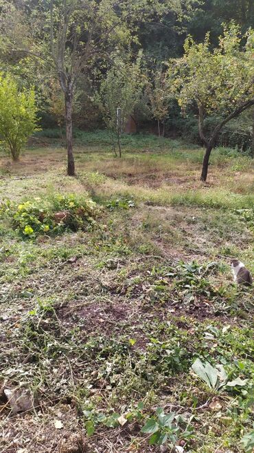 Torpaq sahələrinin satışı: 4 sot, Tikinti, Mülkiyyətçi, Kupça (Çıxarış)