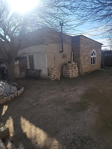 esey satisi: Satış üçün həyət evi və torpaq sahəsi Binə savxozda məçitddən yuxarı — 3