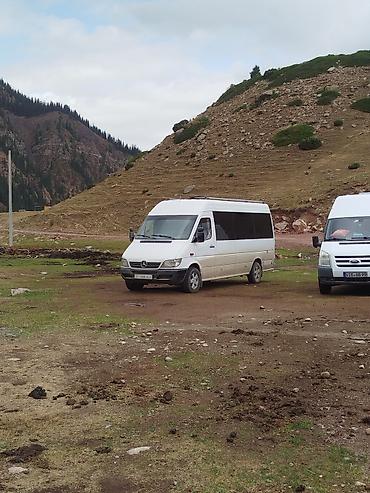 Пассажирский бус на заказ: Пассажирские перевозки на микроавтобусах Mercedes-Benz Sprinter — 2