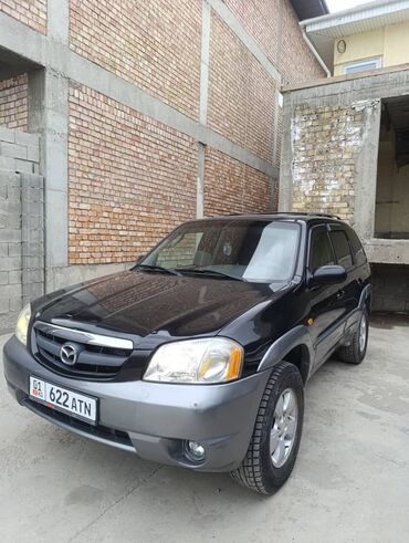 дросельная заслонка мазда кронос: Mazda Tribute: 2001 г., 3 л, Автомат, Бензин, Универсал