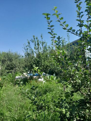 Günlük kirayə evlər: 100 kv. m, 4 otaqlı — 16