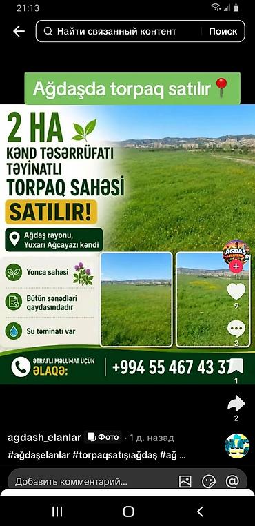 seki torpaq: 200 sot, Kənd təsərrüfatı — 1