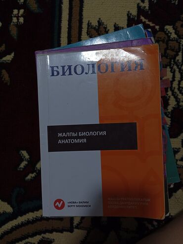 медицинская кровать для лежачих больных: 250сом