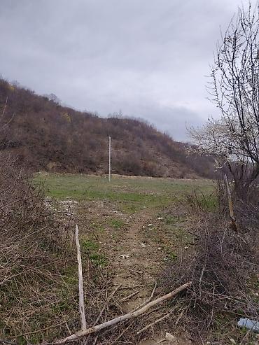 goy golde ucuz satılan evler: 14 sot, Tikinti, Barter mümkündür, Bələdiyyə — 7