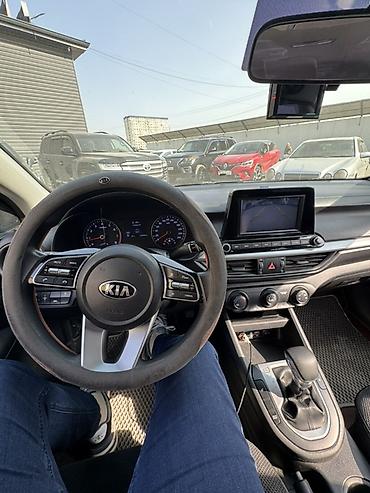 краска для авто: Kia K3: 2018 г., 1.6 л, Автомат, Бензин, Седан — 10