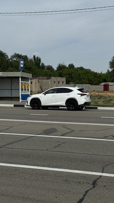lexus lx450d: Lexus NX: 2020 г., 2 л, Автомат, Бензин, Кроссовер