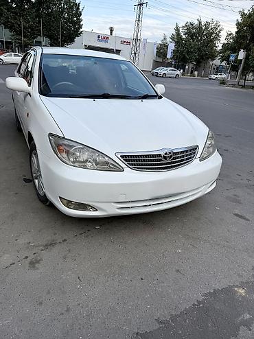 тиков: Toyota Camry: 2002 г., 2.4 л, Автомат, Бензин, Седан — 7