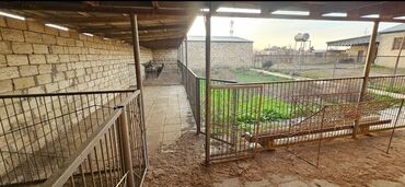 Həyət evləri və villaların satışı: 2 otaqlı, 5000 kv. m, Kredit yoxdur, Təmirsiz — 7